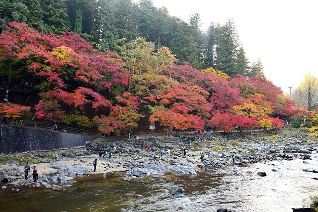 Autumn leaves at Korankei Gorge, Japan